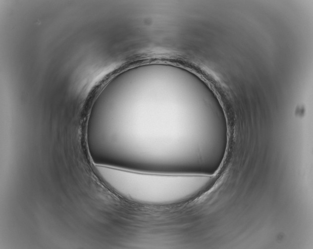 X0000091291309200708101017