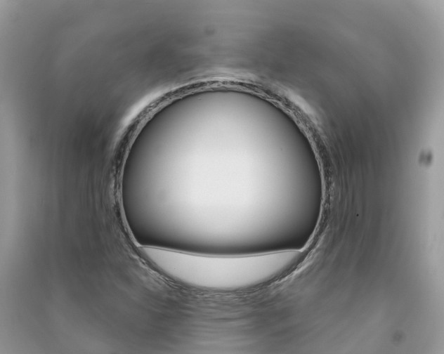 X0000091291310200708101017