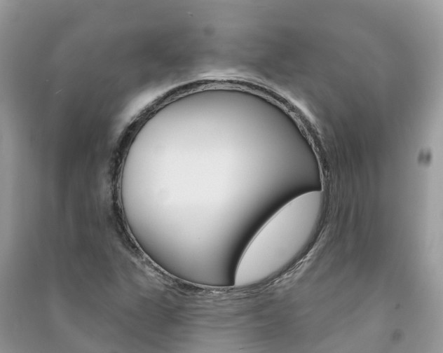 X0000091291311200708101017