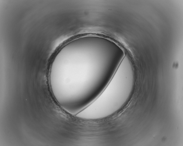 X0000091291312200708101017