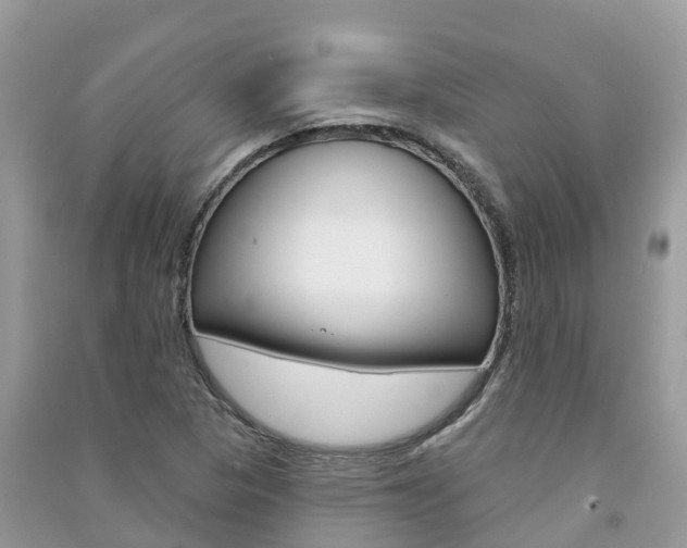X0000091291313200708101017