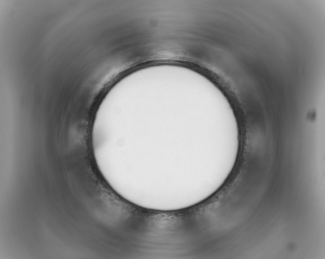 X0000091291314200708101018