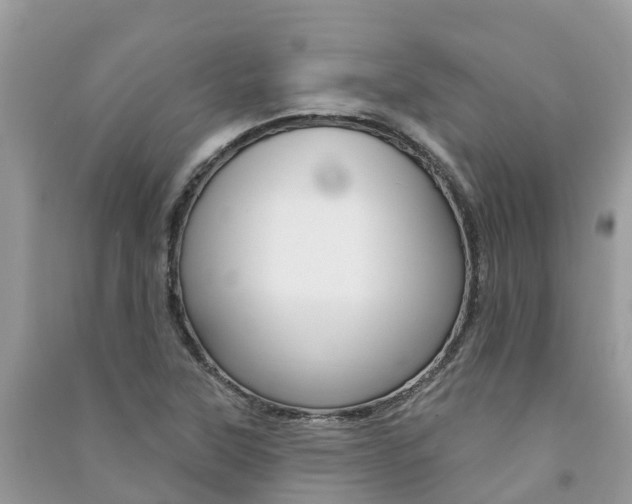 X0000091291315200708101018