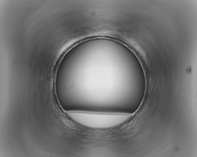 X0000091291316200708101018