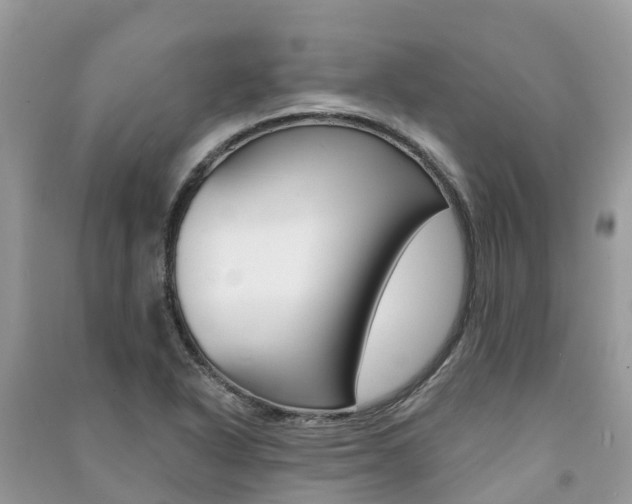 X0000091291318200708101018