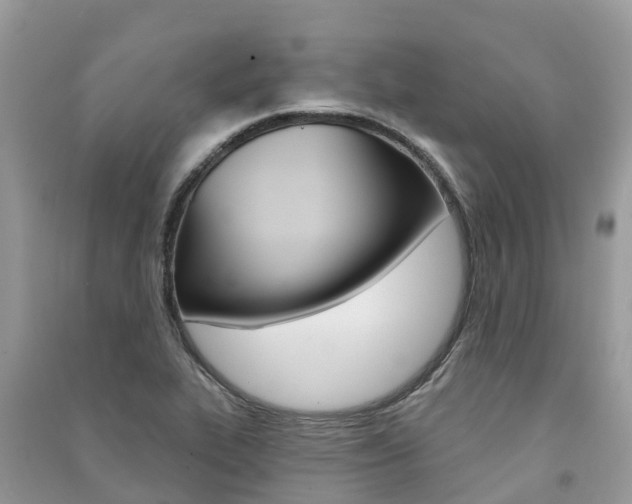 X0000091291319200708101018