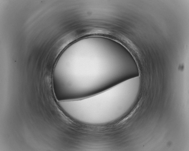 X0000091291321200708101018