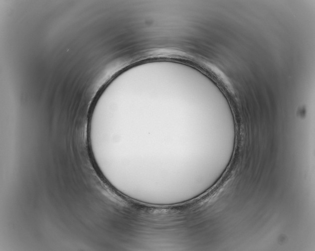 X0000091291322200708101018