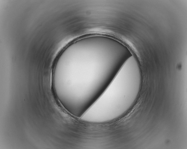 X0000091291323200708101018
