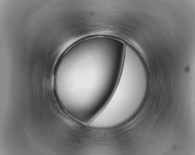 X0000091291324200708101018