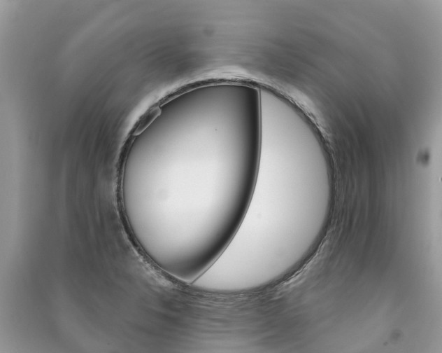 X0000091291326200708101018