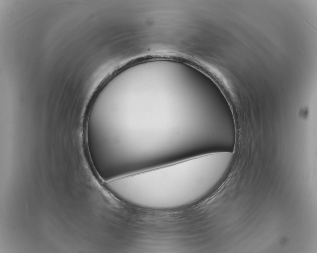 X0000091291327200708101018