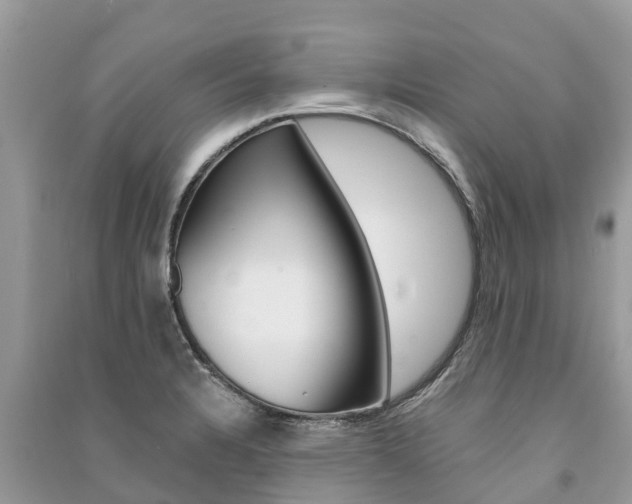 X0000091291328200708101018