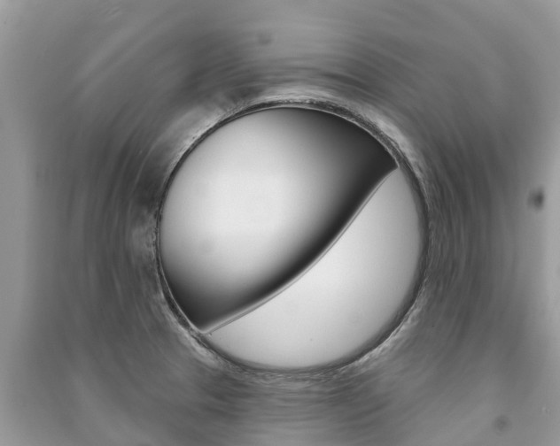 X0000091291329200708101018