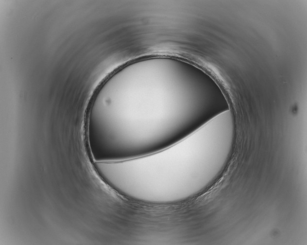 X0000091291331200708101018