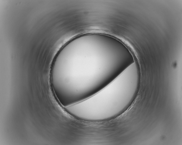 X0000091291333200708101018