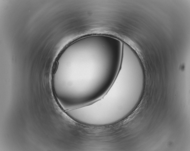 X0000091291334200708101018