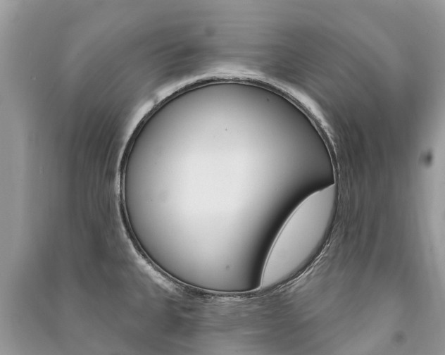 X0000091291335200708101018