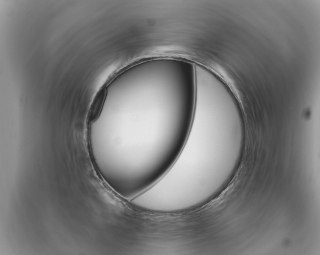 X0000091291336200708101018