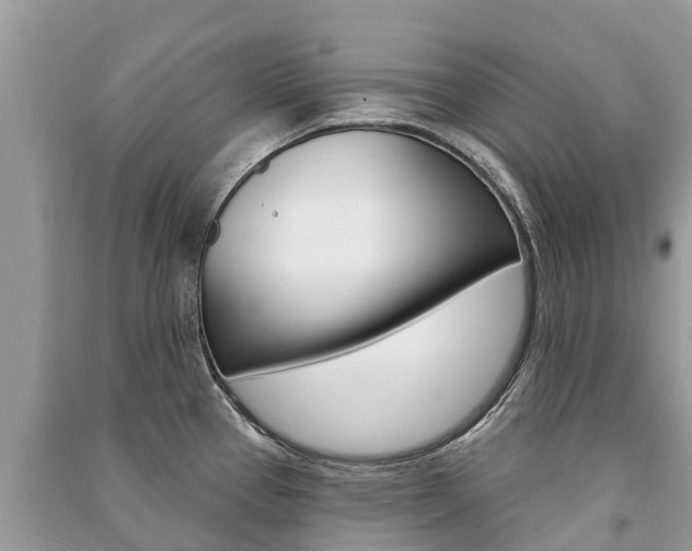 X0000091291337200708101018