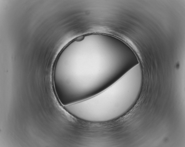 X0000091291339200708101018