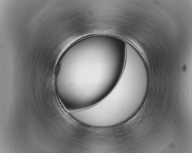 X0000091291340200708101018
