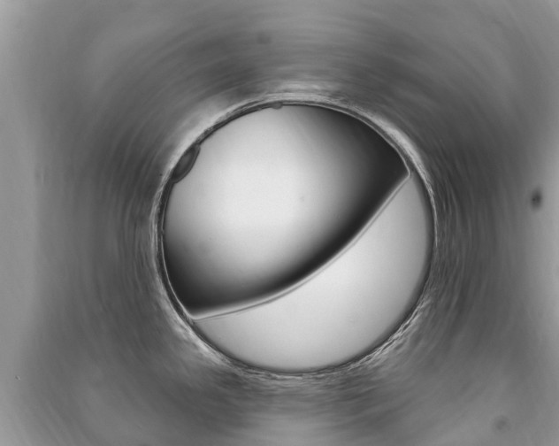 X0000091291341200708101018