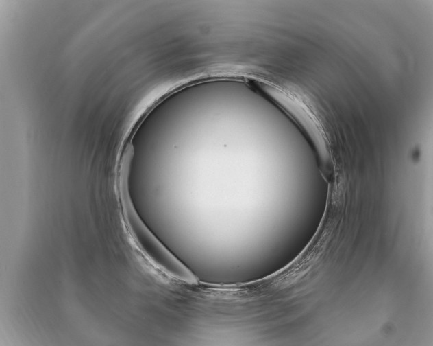 X0000091291342200708101018