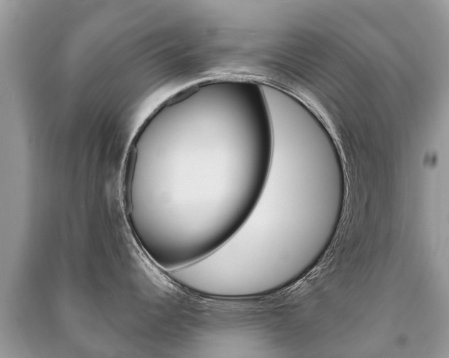 X0000091291344200708101018