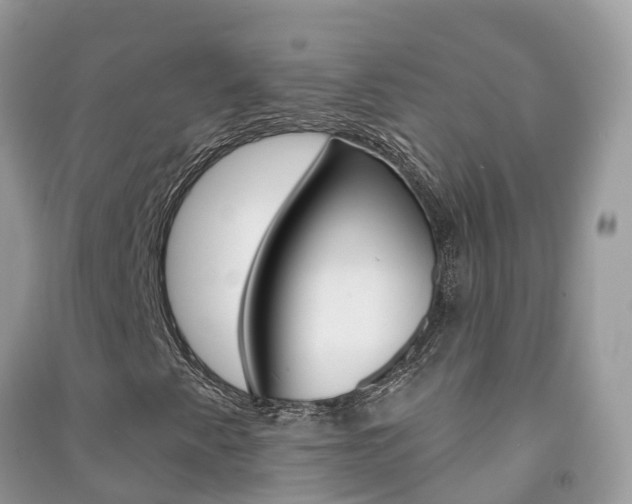 X0000091291345200708101017