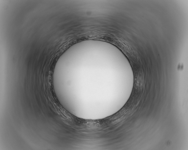 X0000091291346200708101017