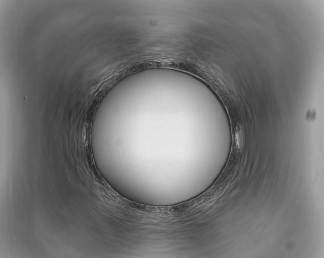 X0000091291347200708101017