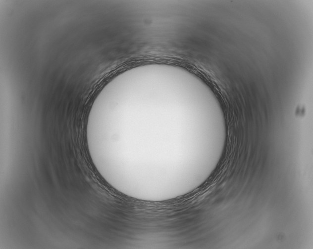 X0000091291348200708101017