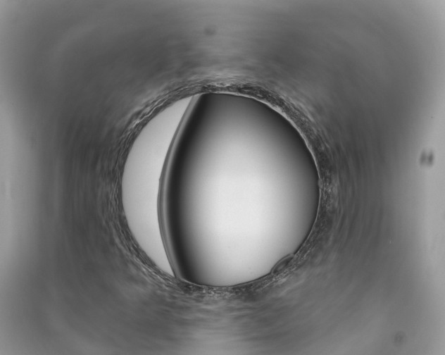 X0000091291349200708101017