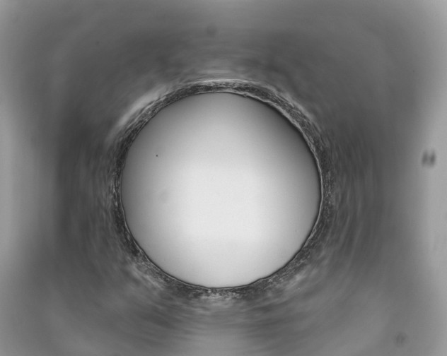 X0000091291351200708101017