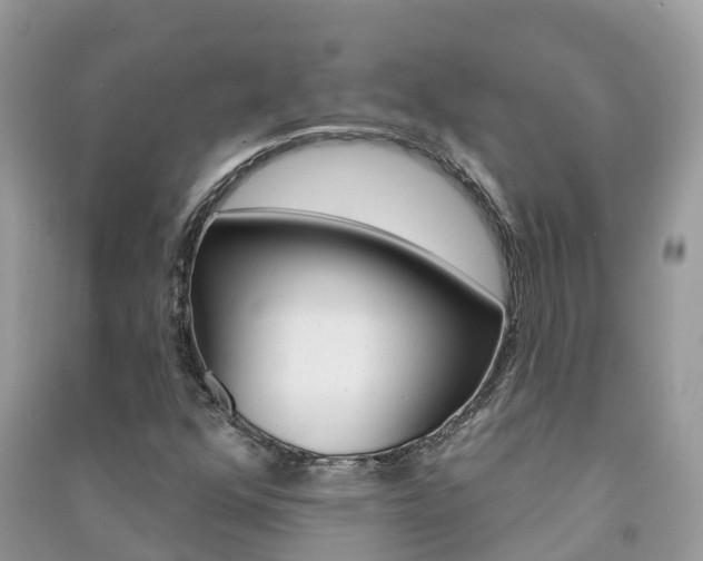 X0000091291352200708101017