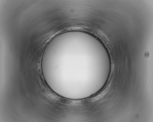 X0000091291353200708101017