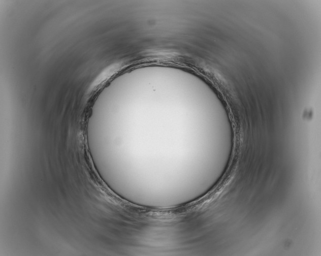 X0000091291354200708101017