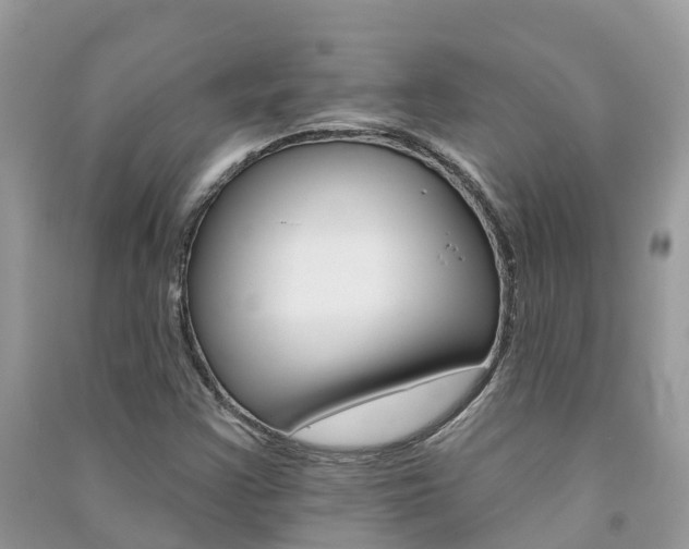 X0000091291355200708101017