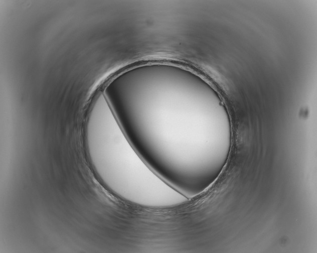 X0000091291356200708101017