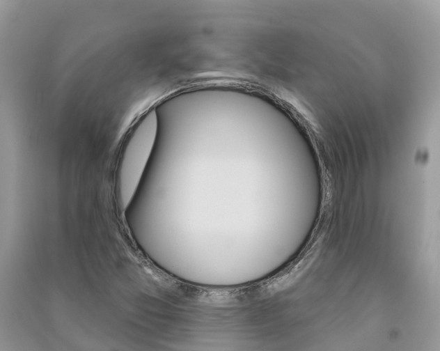 X0000091291357200708101017