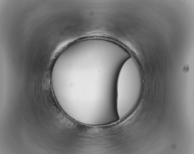 X0000091291358200708101017