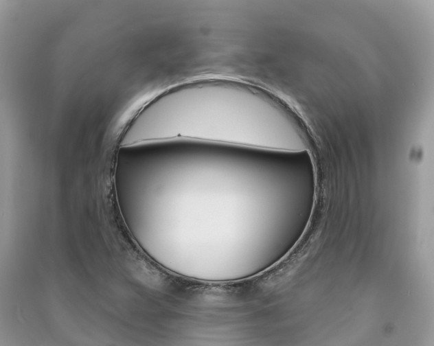 X0000091291359200708101017