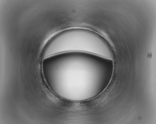 X0000091291360200708101017