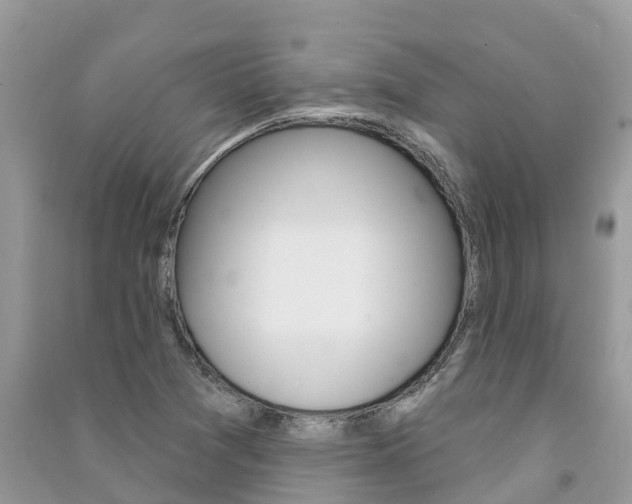 X0000091291361200708101017
