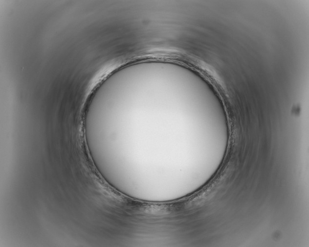 X0000091291362200708101017