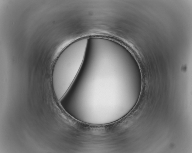 X0000091291363200708101017