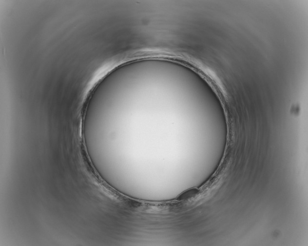 X0000091291365200708101017