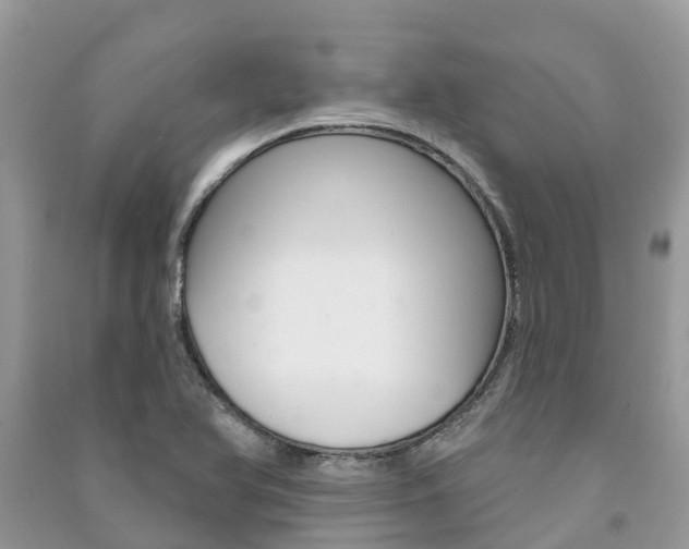 X0000091291366200708101017
