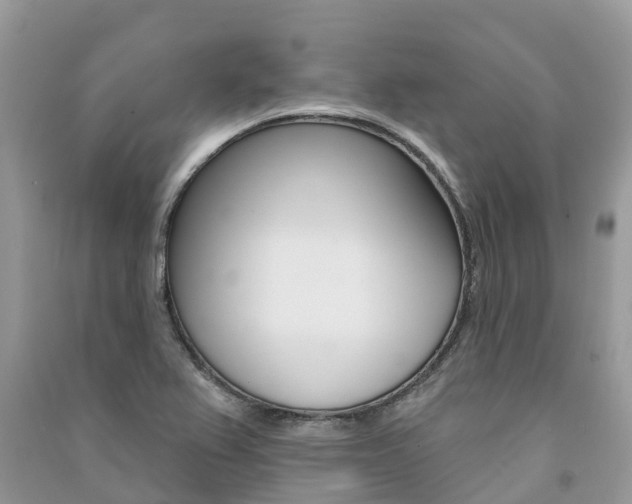 X0000091291367200708101017